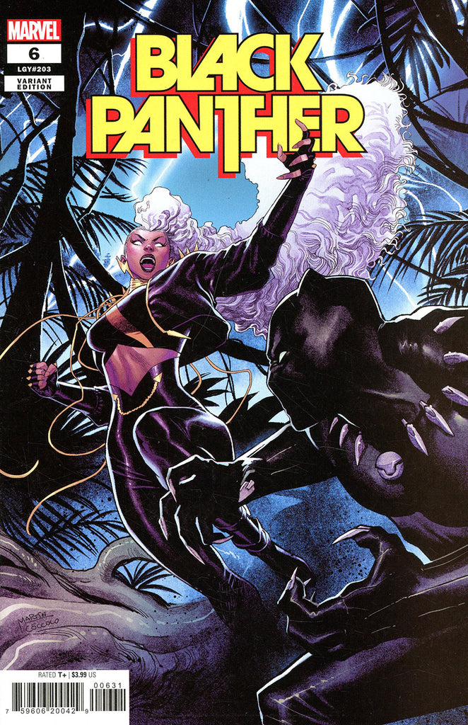 Black Panther #6 1/25 Martin Coccolo Variant (Marvel, 2022)