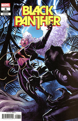 Black Panther #6 1/25 Martin Coccolo Variant (Marvel, 2022)