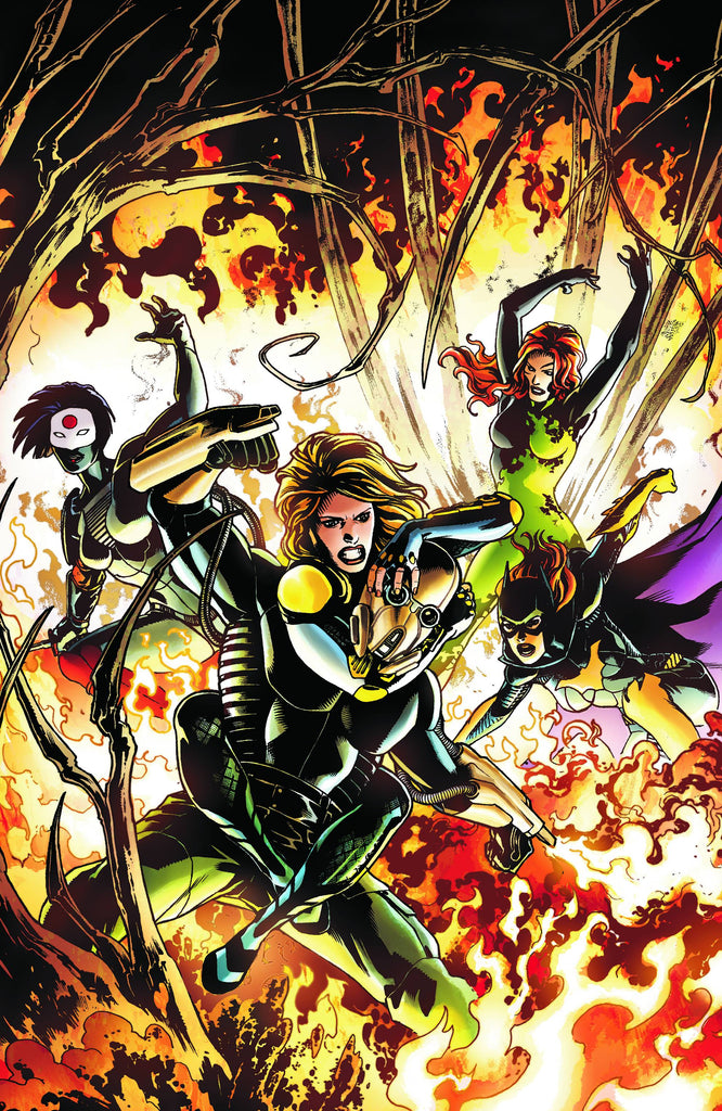 Birds of Prey (Vol 3 2012) #8 CVR A