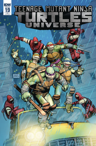 Teenage Mutant Ninja Turtles Universe #19 1/10 Raffaele Ienco Variant (IDW, 2017)