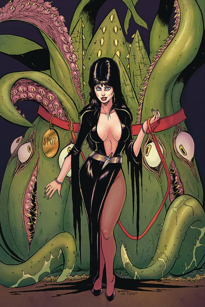 Elvira, Mistress of the Dark #11 1/25 Tim Seeley Virgin Variant
