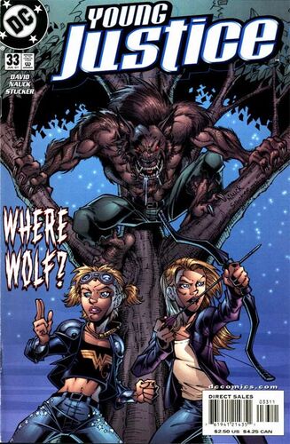Young Justice  (Vol 1 2001) #33 CVR A