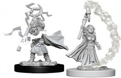 WZK PF Mini - Gnome Female Sorcerer