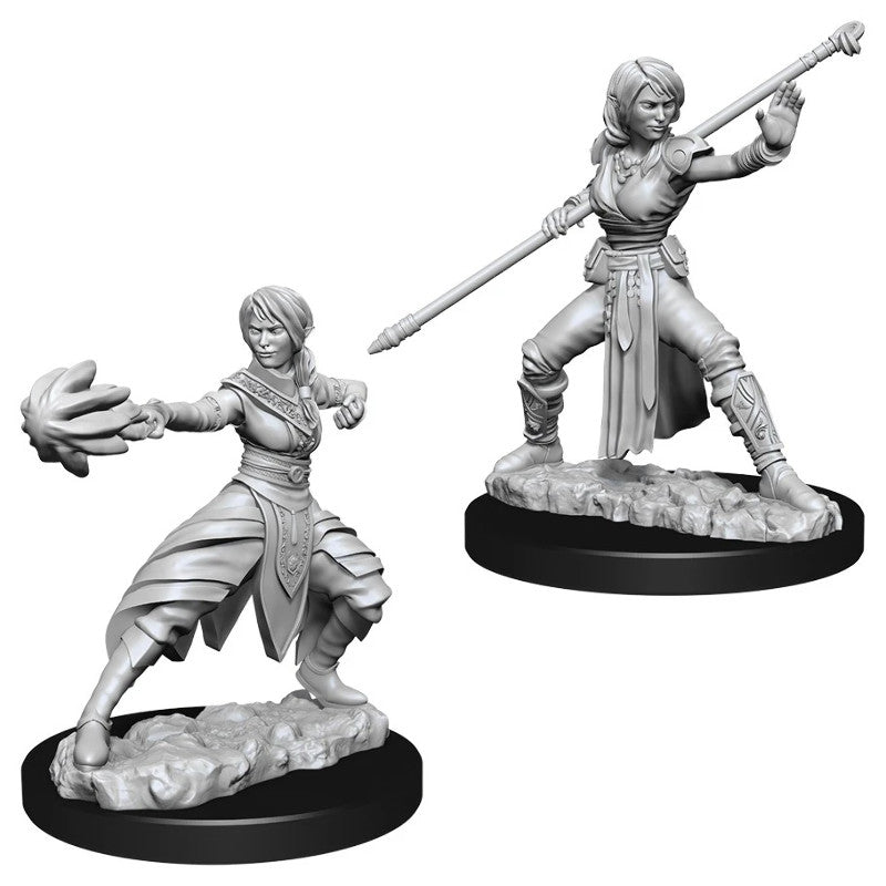 WZK DnD Mini - Female Half-Elf Monk