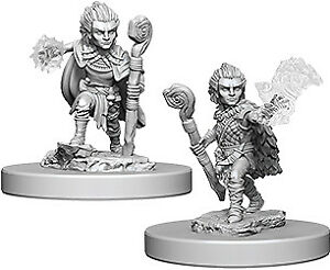 WZK PF Mini - Gnome Male Druid